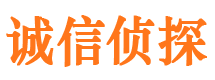 嘉鱼外遇出轨调查取证